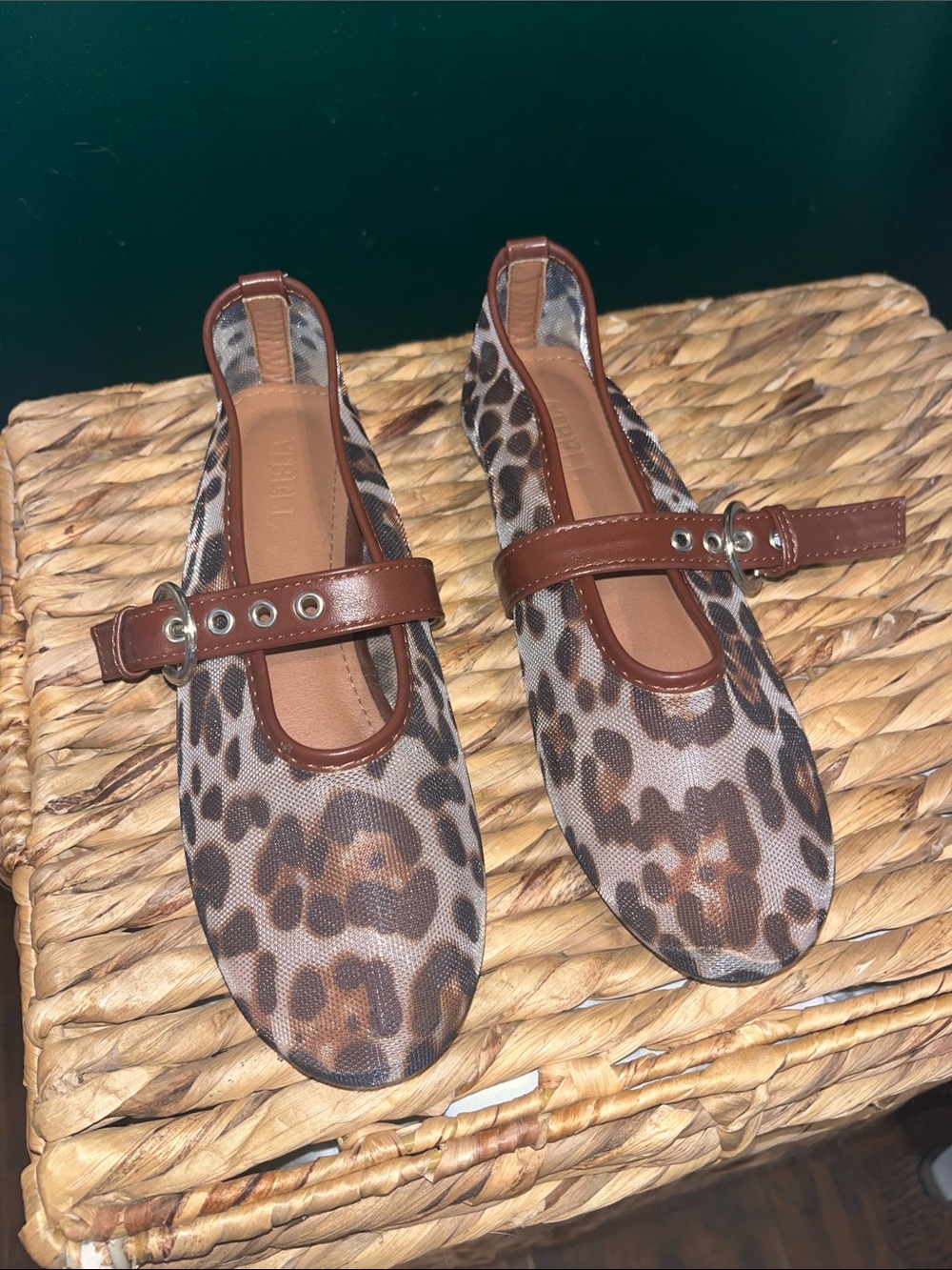 Leopard Print Mary Jane Flats with Brown Trim